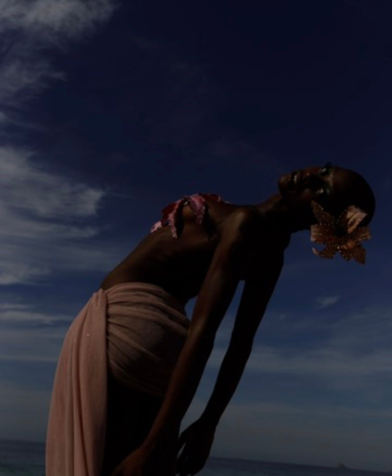 SAIA FAIRYDUST (ROSA)